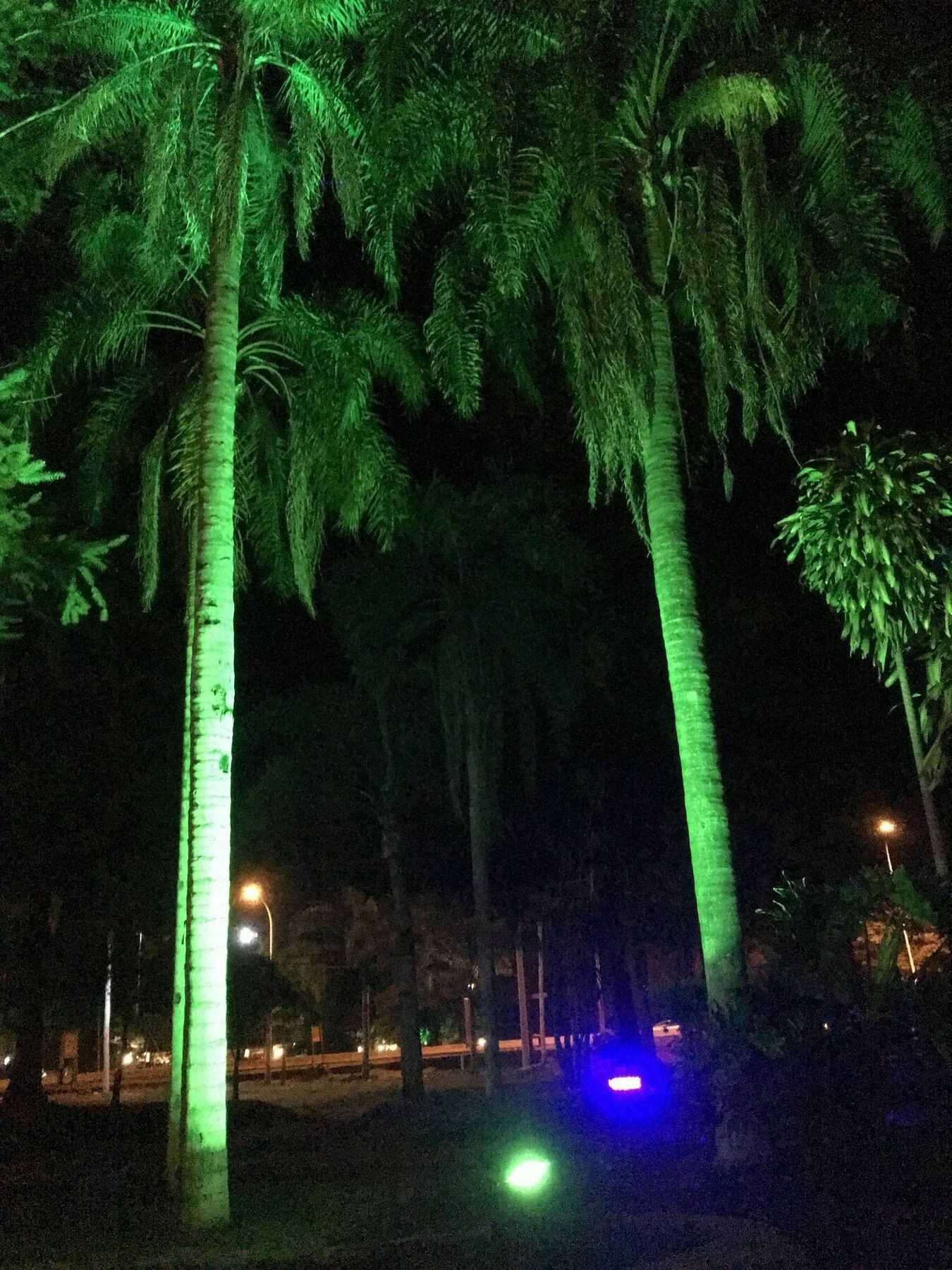 Tangoinn Club Iguazu Party Luxury Hostel Puerto Iguazu Exterior photo